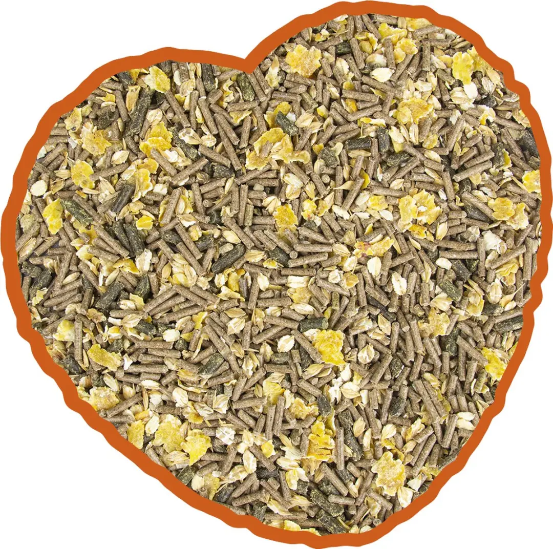 Duvo Duvoplus Geit & Hert Muesli 18kg