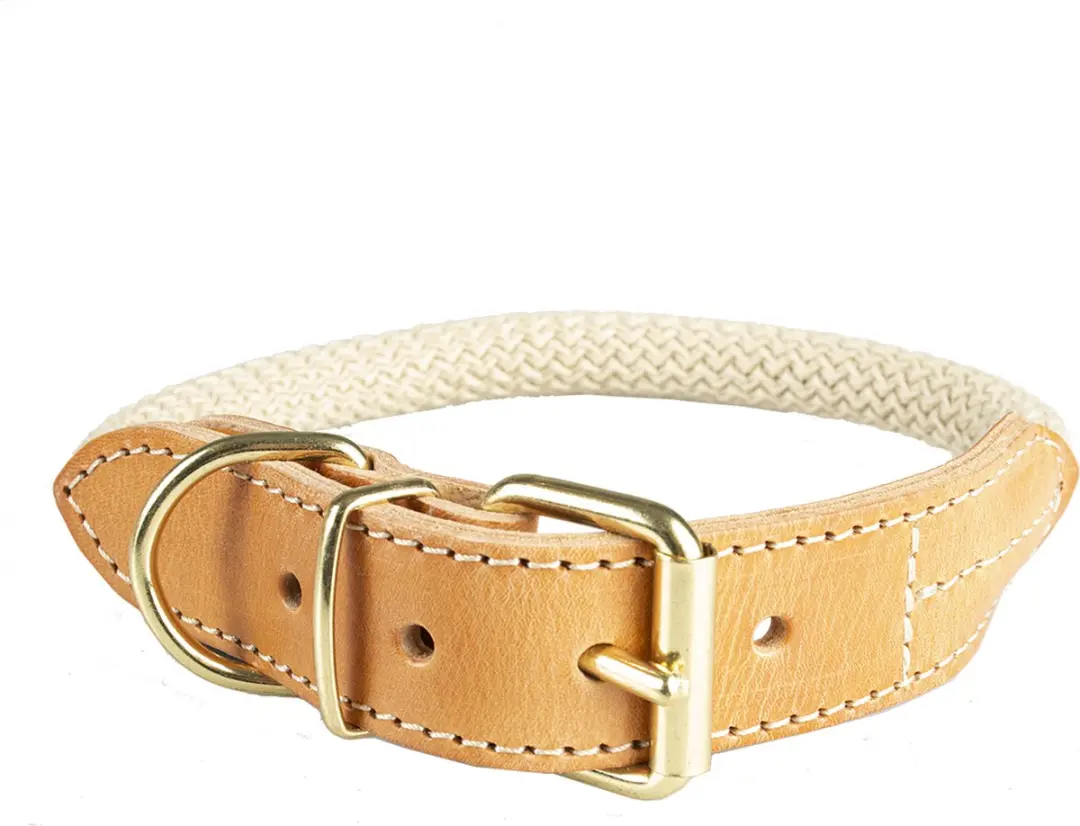 DuvoPlus Explor Forest Halsband Nylon M - 41-49cm - Beige