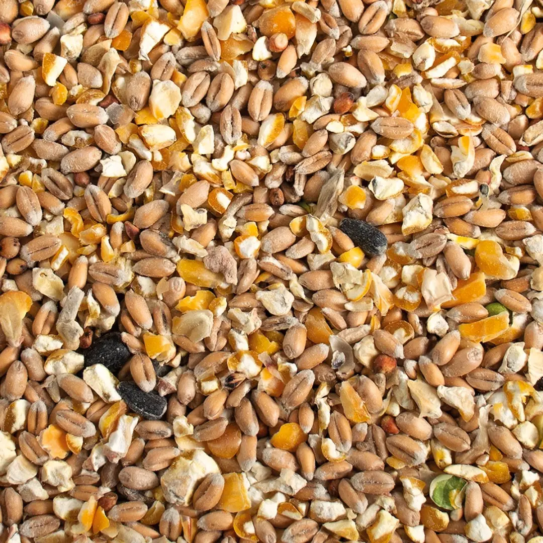 Duvo Plus Poeljen Mix Kippenvoer 4,5kg