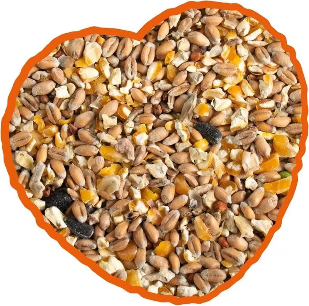 Duvo Plus Poeljen Mix Kippenvoer 4,5kg