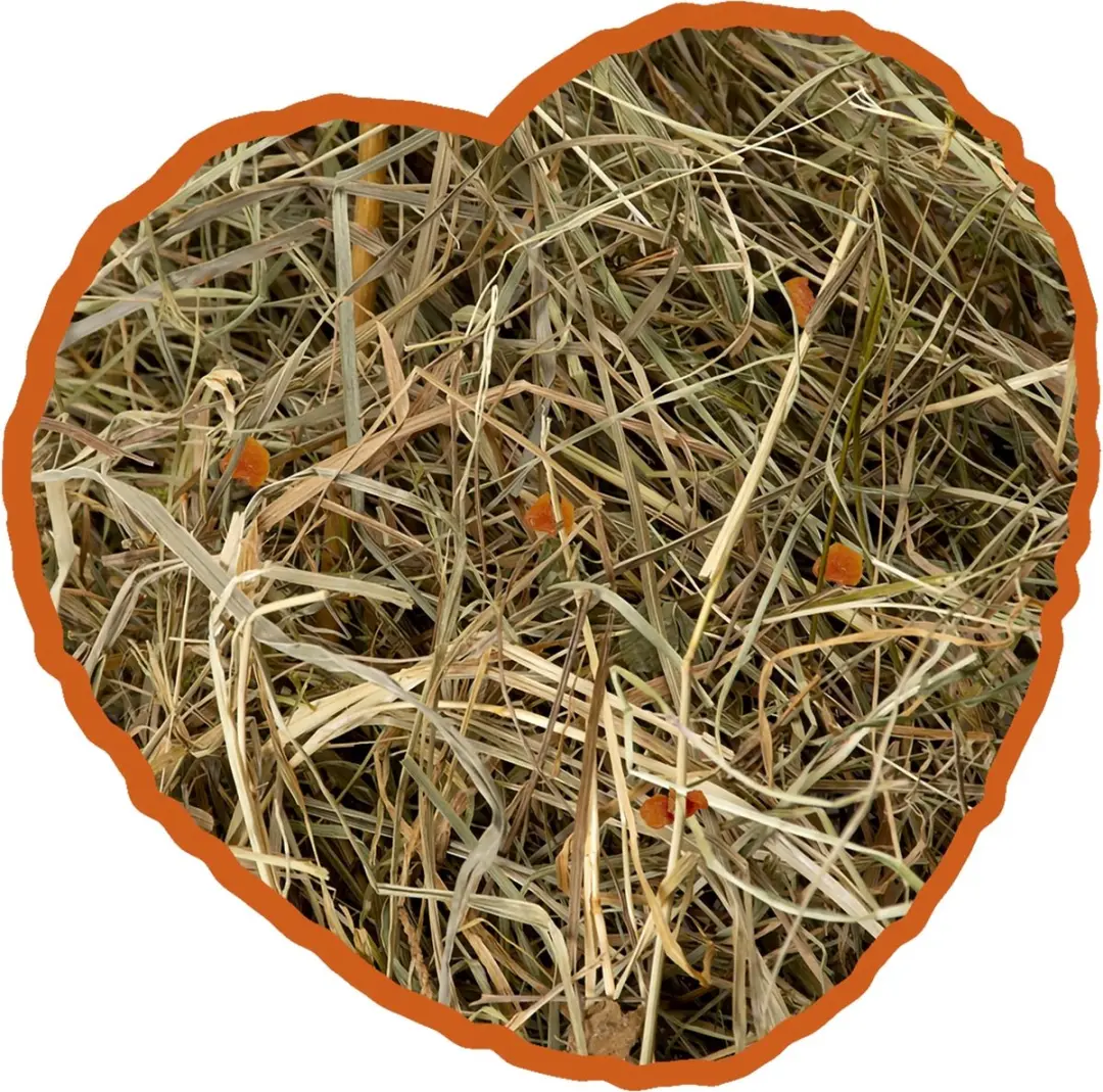 DuvoPlus Knaagdiervoer Kruidenhooi Wortel 1kg