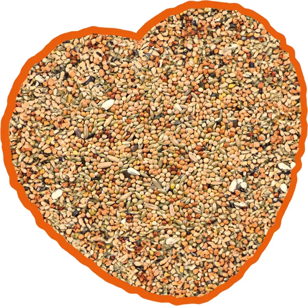 Duvo Vogels Grasparkiet Mix Kardy 20kg