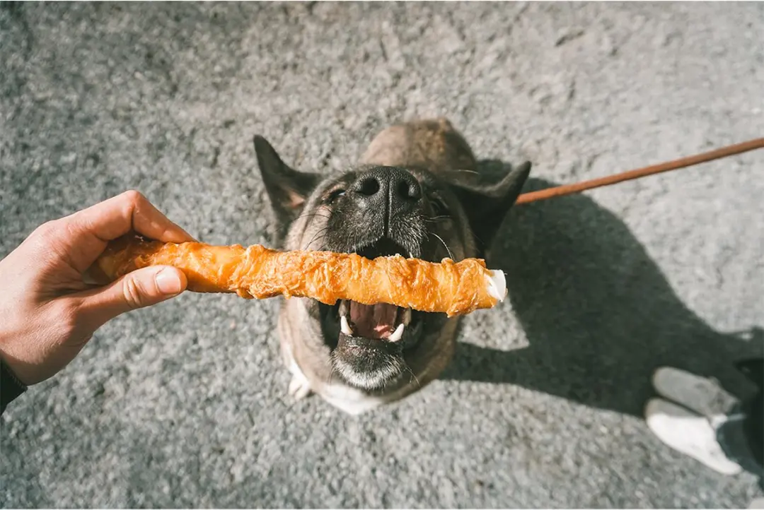 DuvoPlus Meat! Snack Kip & Runderhuid Sticks voor Honden - 10 Stuks