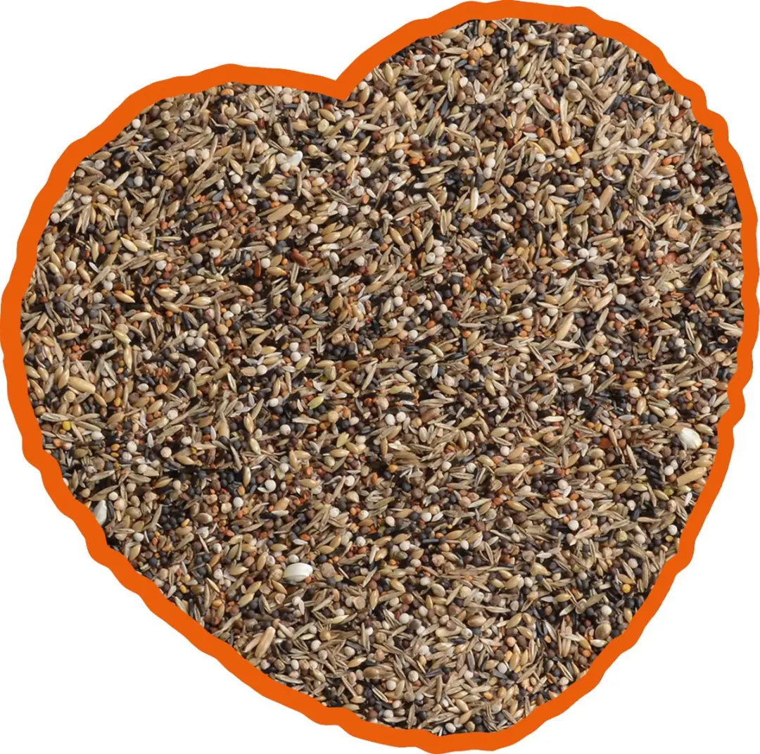 Duvo Sijs & Distelvink Special Mix 15kg
