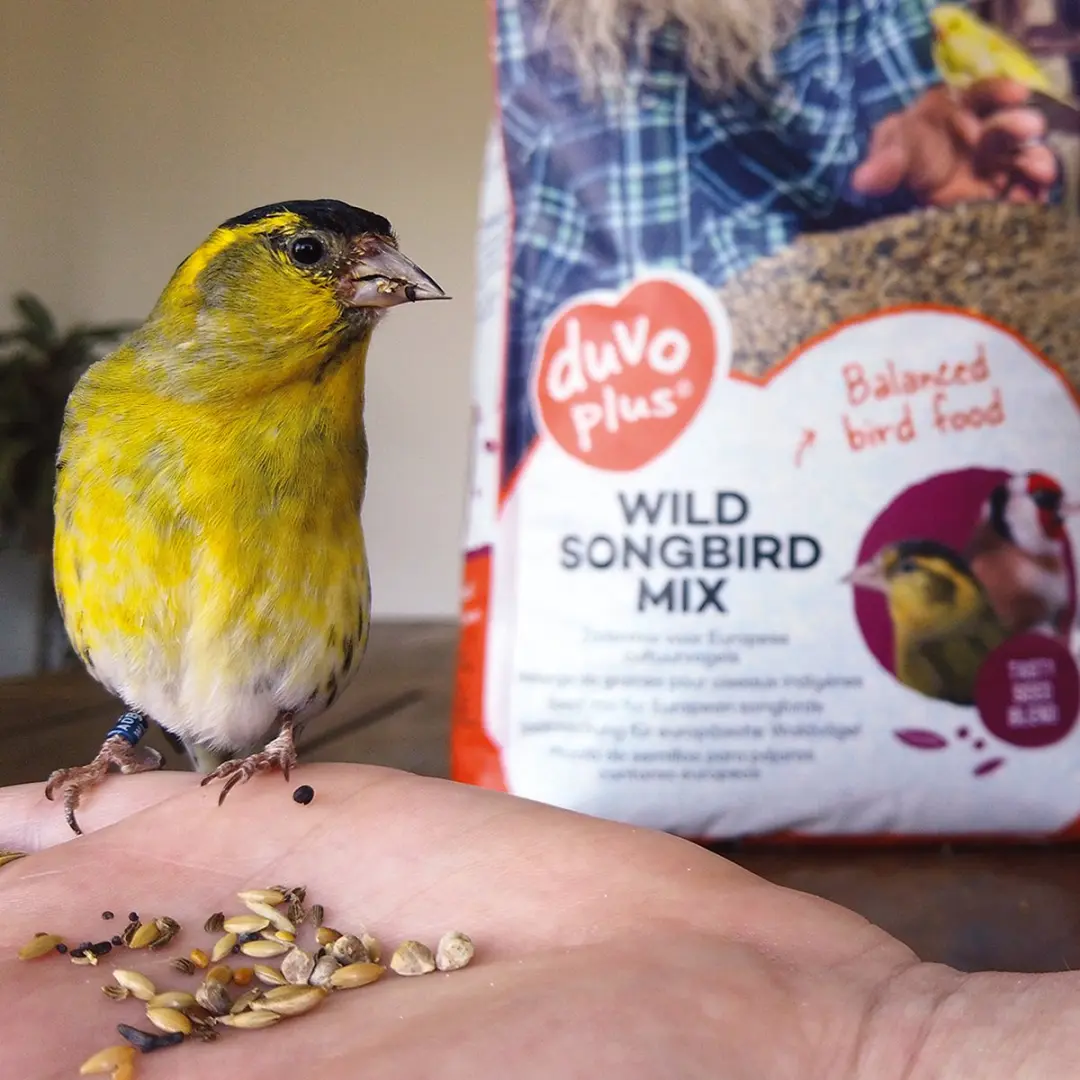 Duvo Sijs & Distelvink Special Mix 15kg