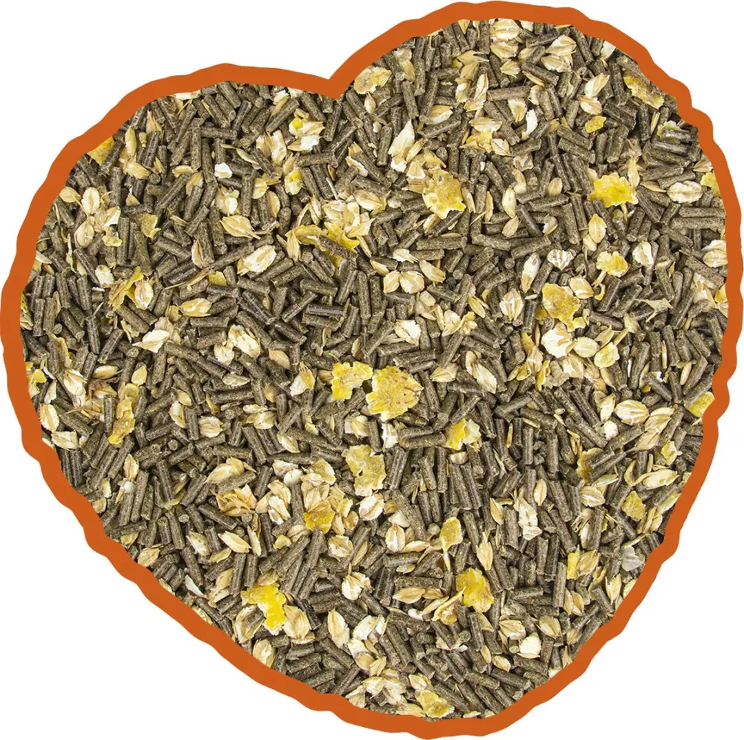 Duvo Duvoplus Schapen Muesli Vogelveer 18kg