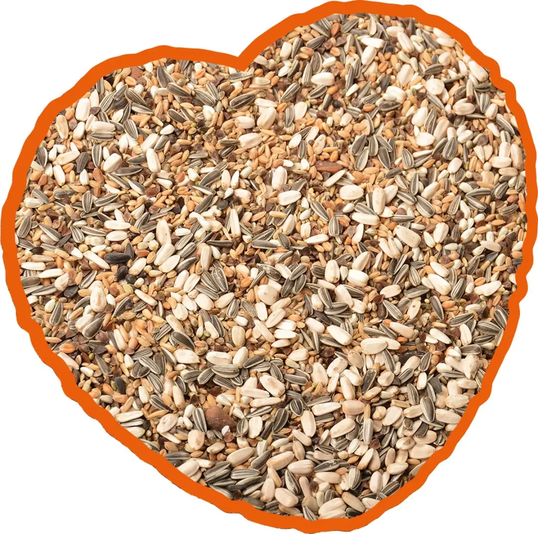 Duvo Plus Papegaai Mix Kweek Binnenvogelvoer 15kg