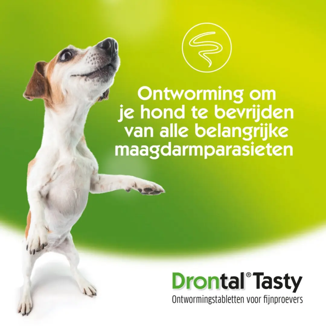Drontal Dog Tasty Ontworming Tabletten 1g - 2 Stuks