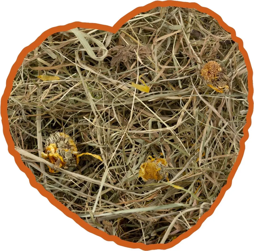 DuvoPlus Knaagdiervoer Kruidenhooi Paardenbloem 1kg