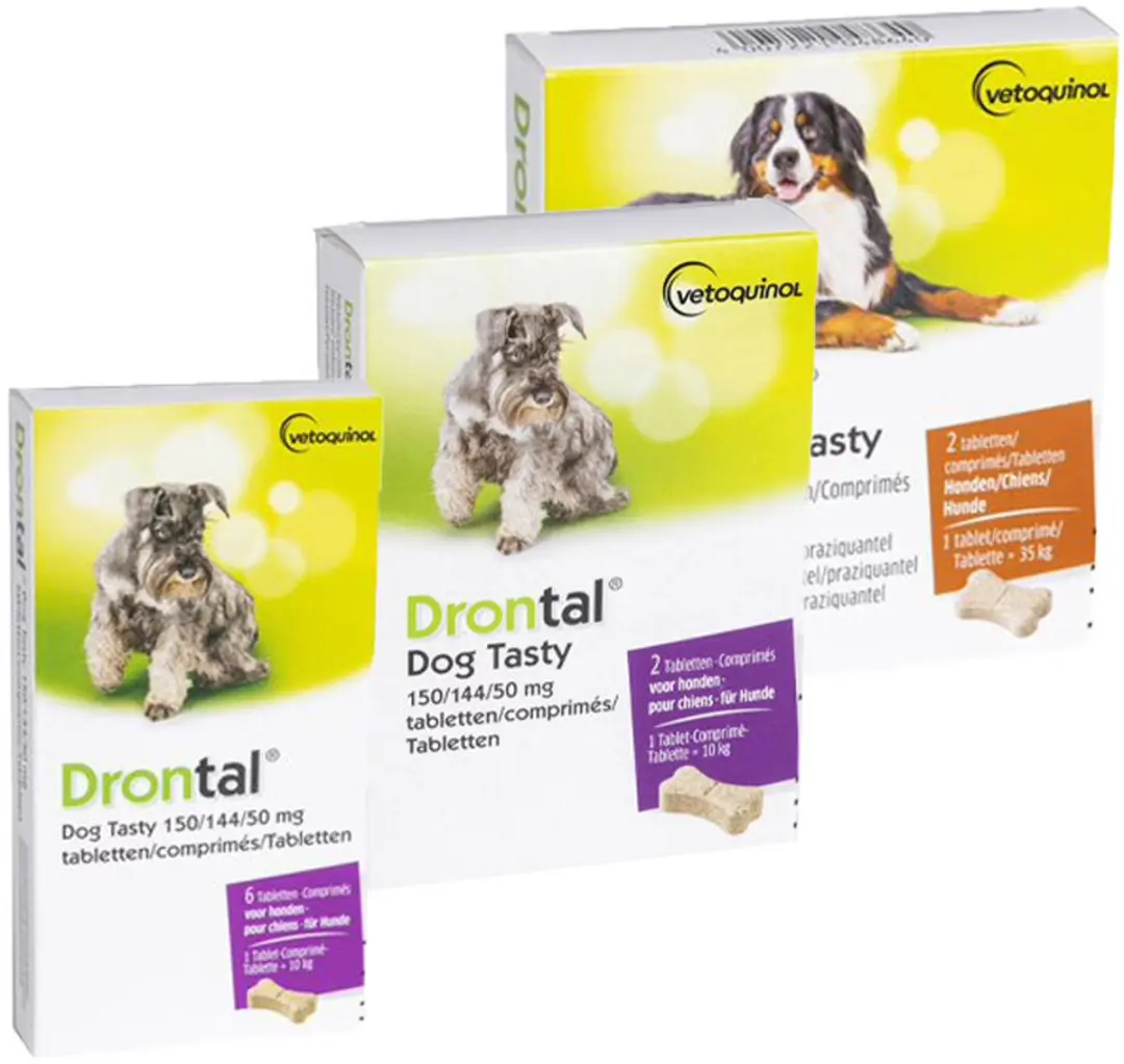 Drontal Dog Tasty Bone - 6 Stuks