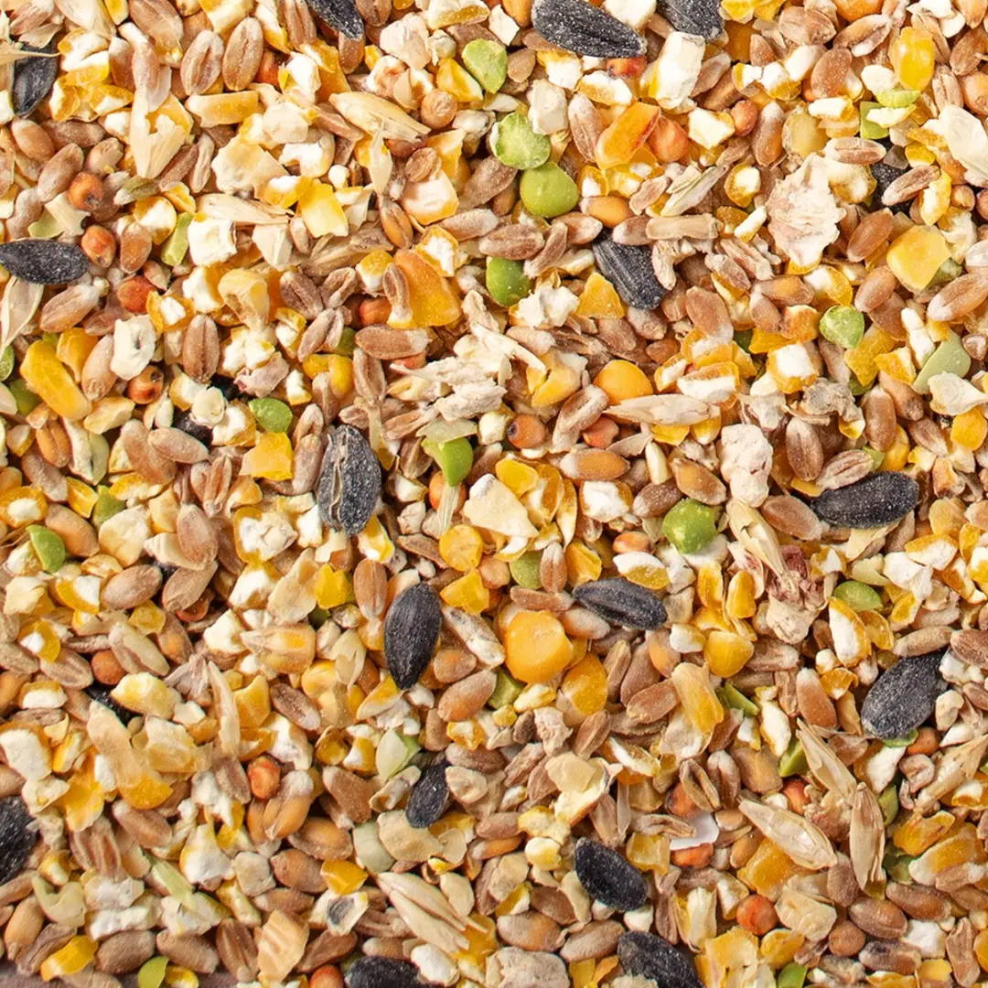 DuvoPlus Tortelduif & Fazant Mix Vogelveer 20kg