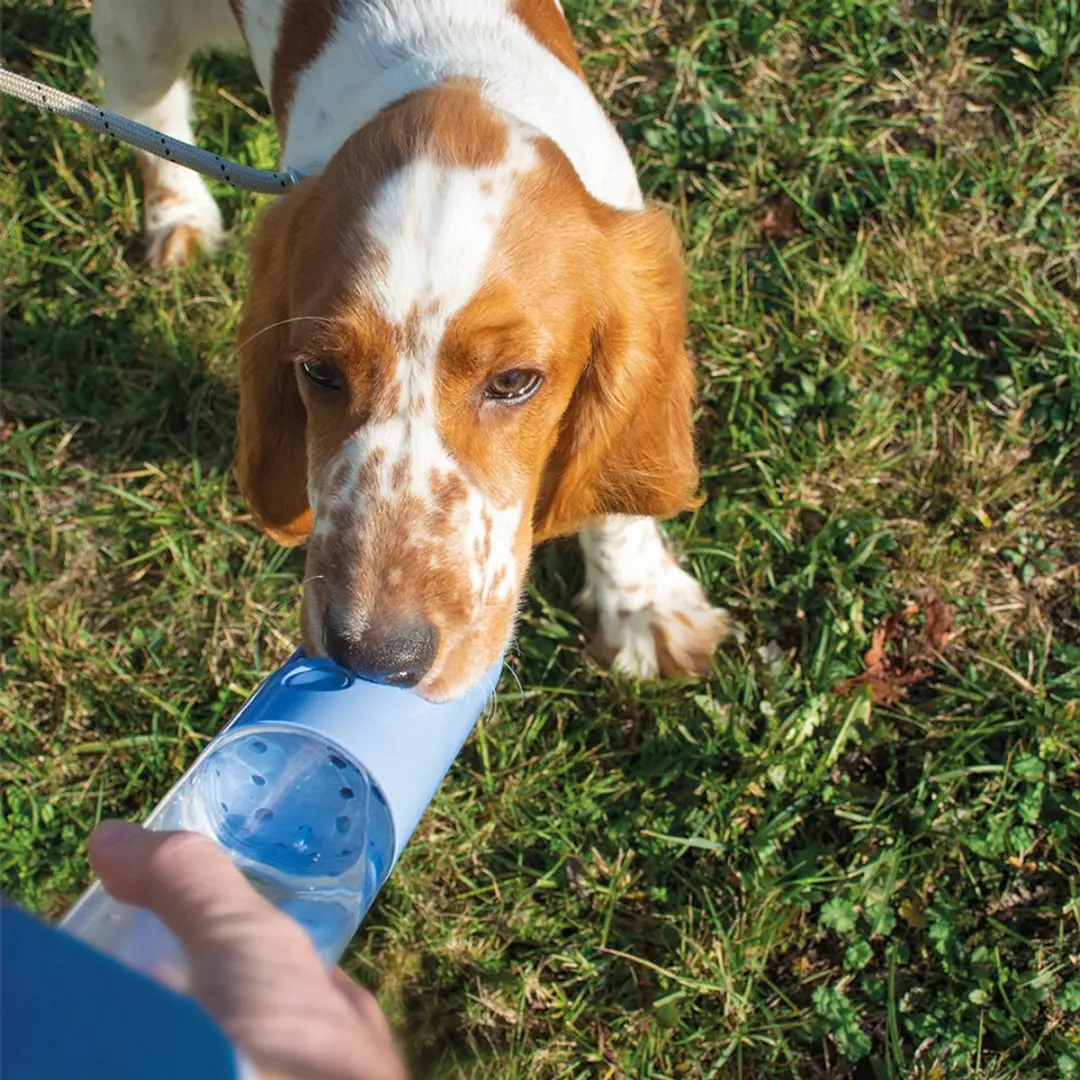 Duvo Duvoplus Buddies On The Go! Drinkfles Honden 750ml - Grijs