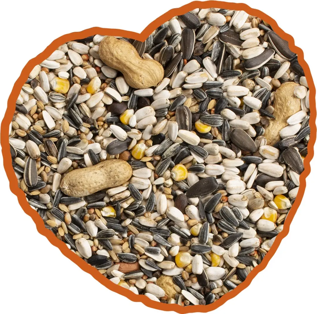 Duvo Plus Papegaai Mix 12,5kg