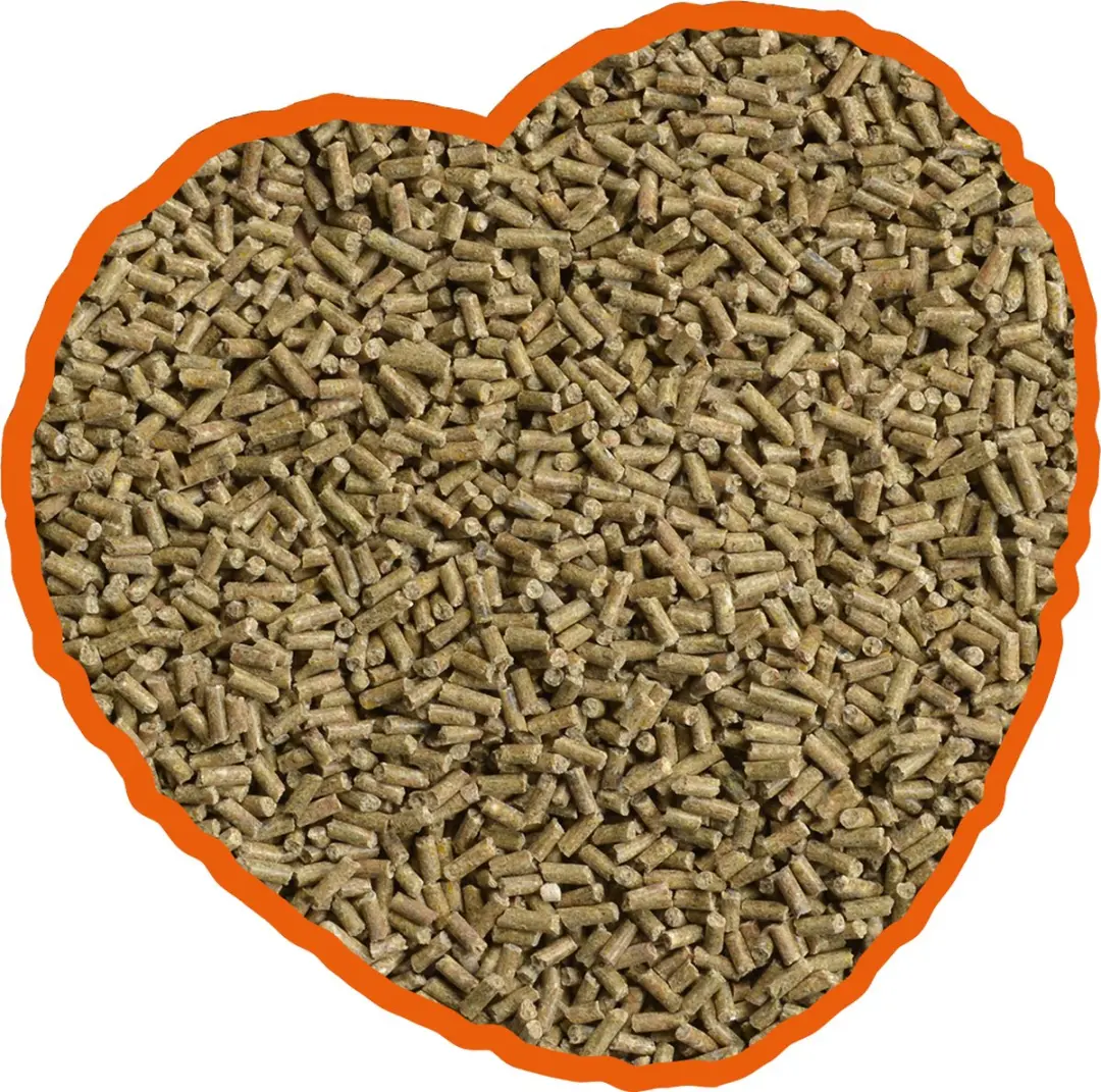 DuvoPlus Kip Legkorrel 5kg