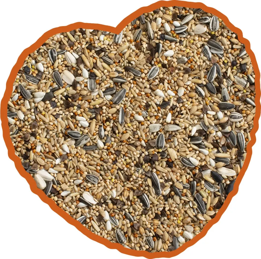 DuvoPlus Grote Parkiet Mix 20kg