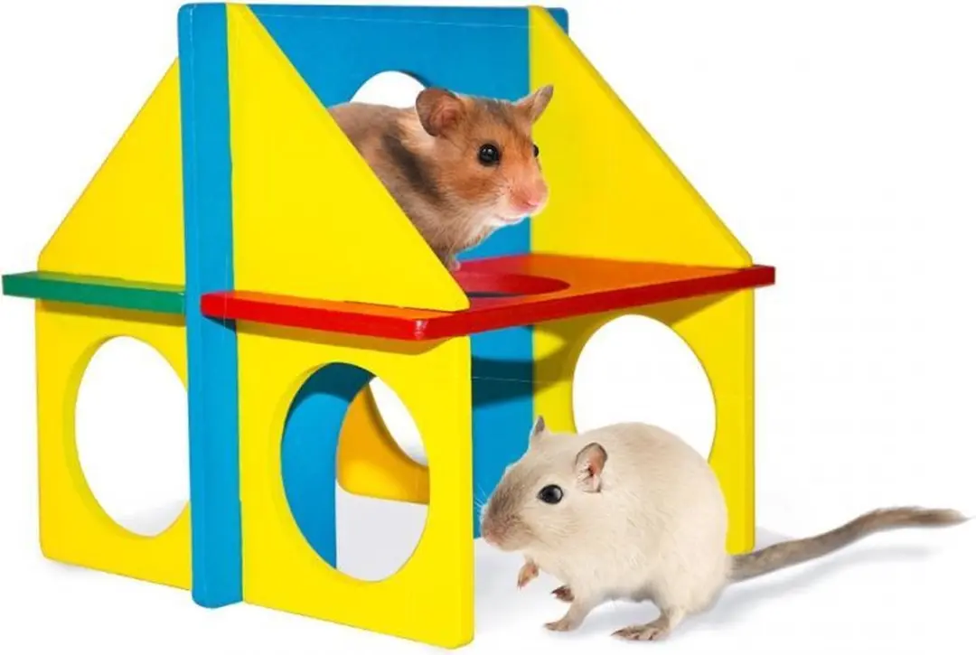 Duvo DIY Fun House Gemengde kleuren 14x11cm