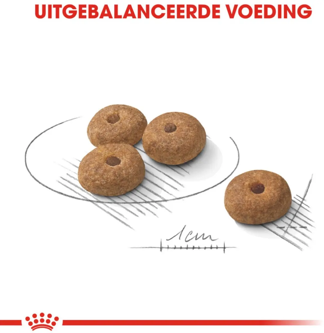 Royal Canin Sterilised Mini Hondenvoer - 10x1kg