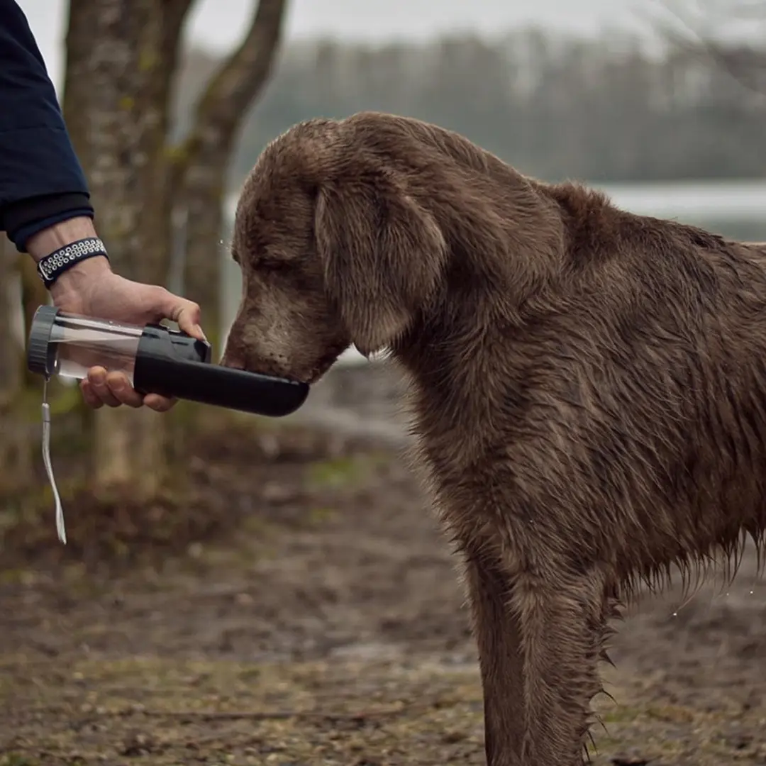 Duvo Duvoplus Waterfles Hond 300ml - Gemengde Kleuren