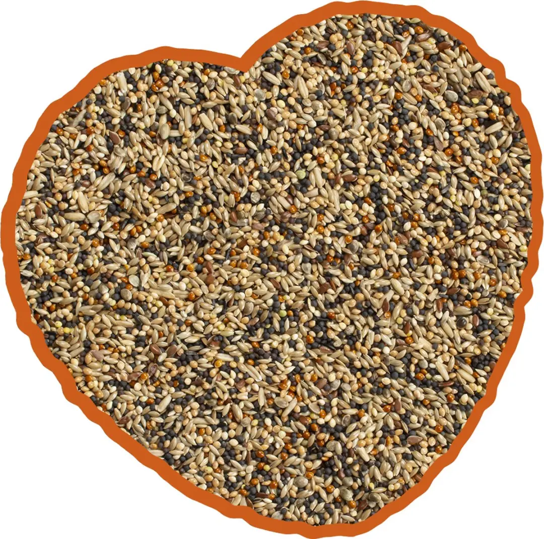 DuvoPlus Volière Mix Vogelvoer 4kg