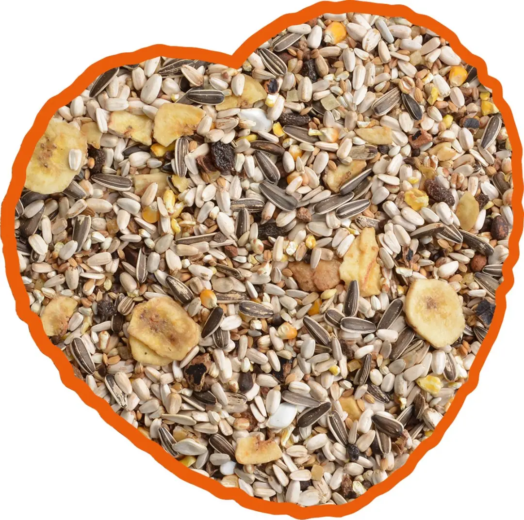 Duvo Plus Papegaai Speciaal Mix 12,5kg