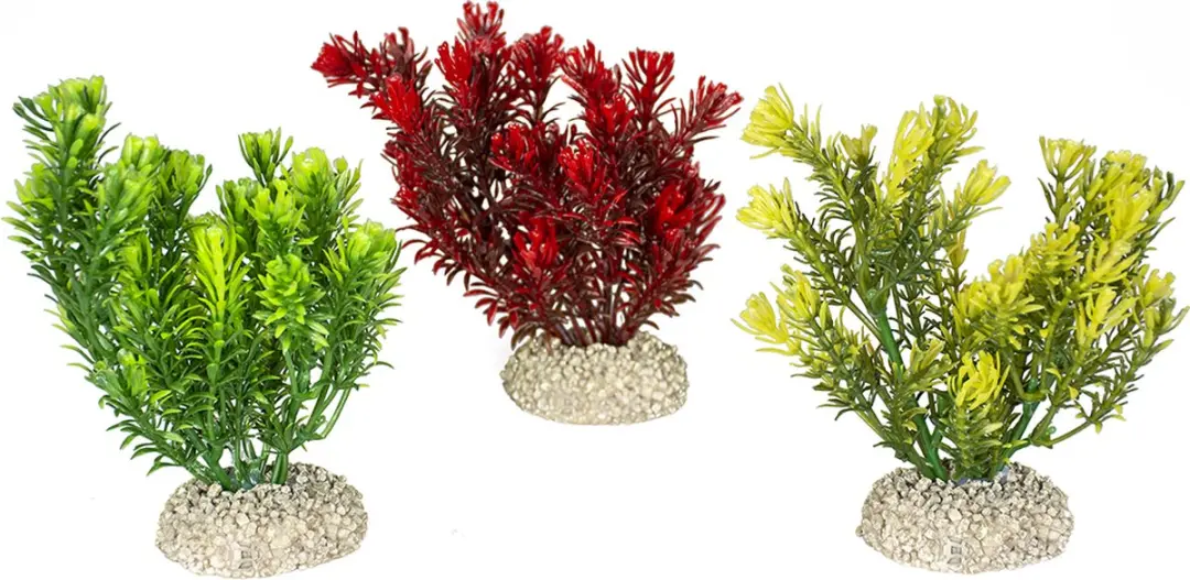 Duvo Aqua Della Plant Canadensis S Aquariumplant