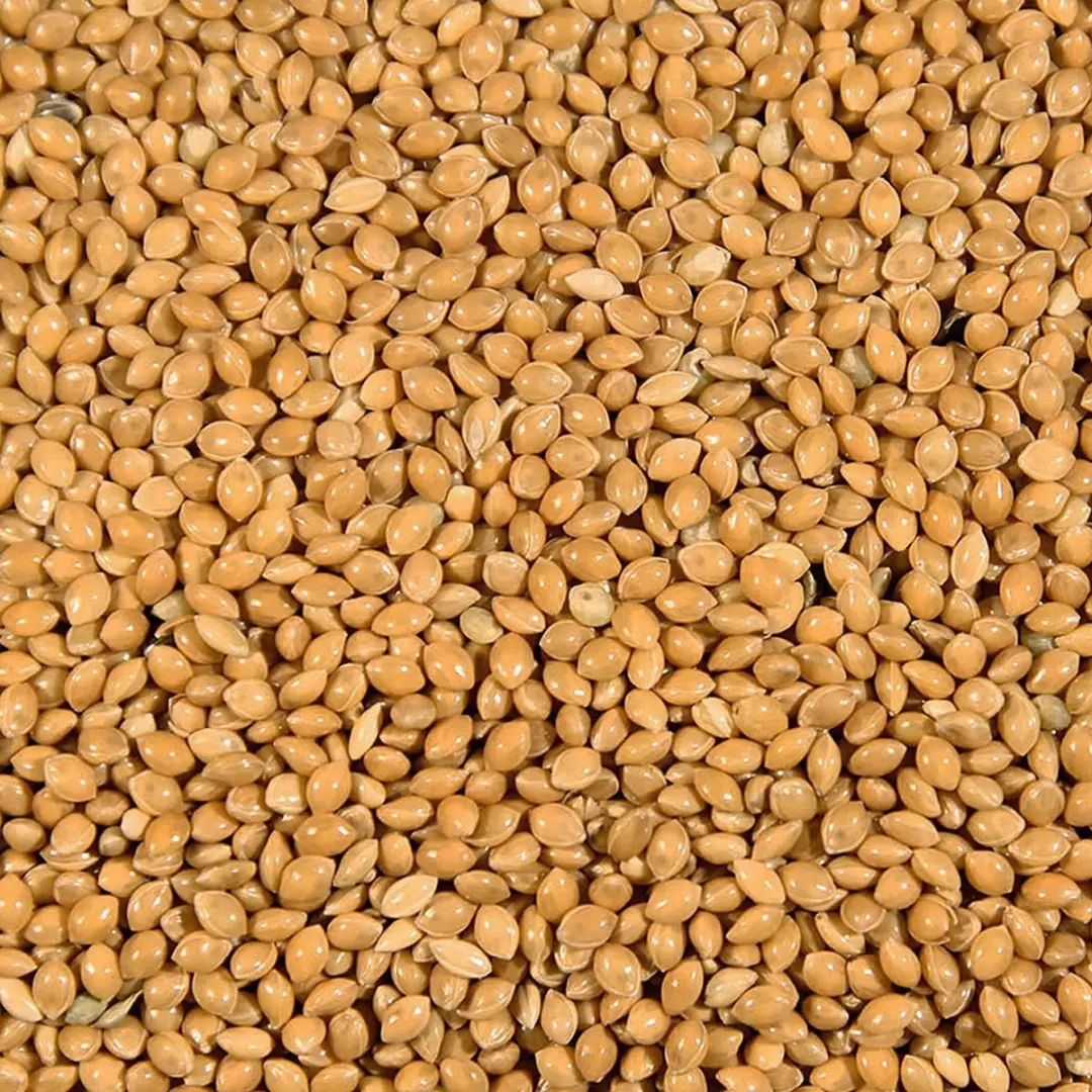 Duvo Binnenvogelvoer Millet Geel Rondzaad 20kg