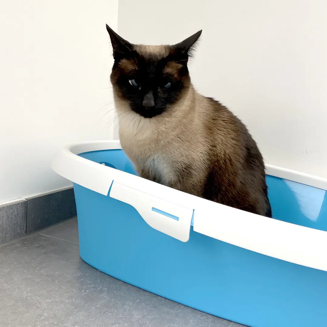 Duvo Potige Smurf Open Kattentoilet - Blauw 58x39x17cm