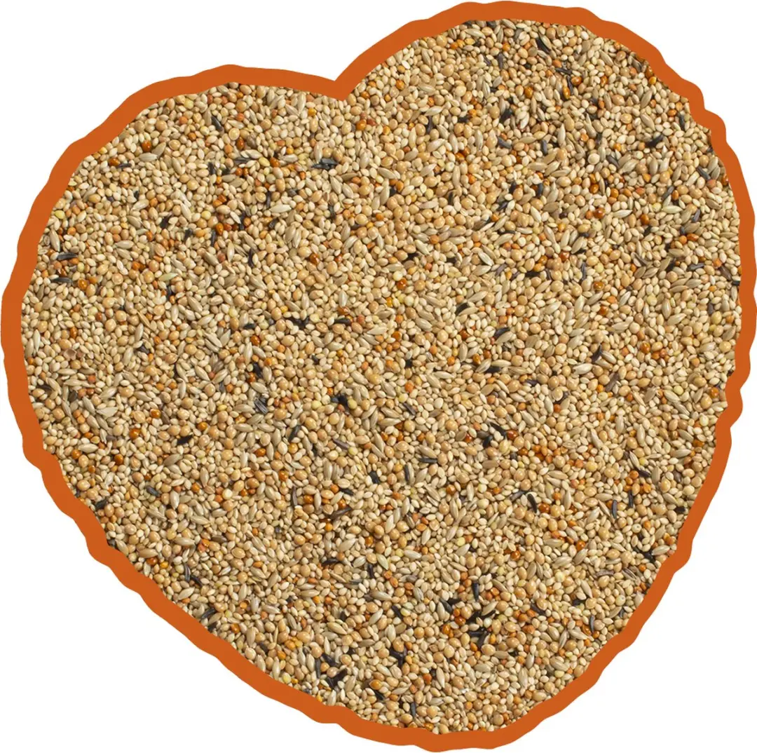 Duvo Plus Tropische Vogel Mix 20kg