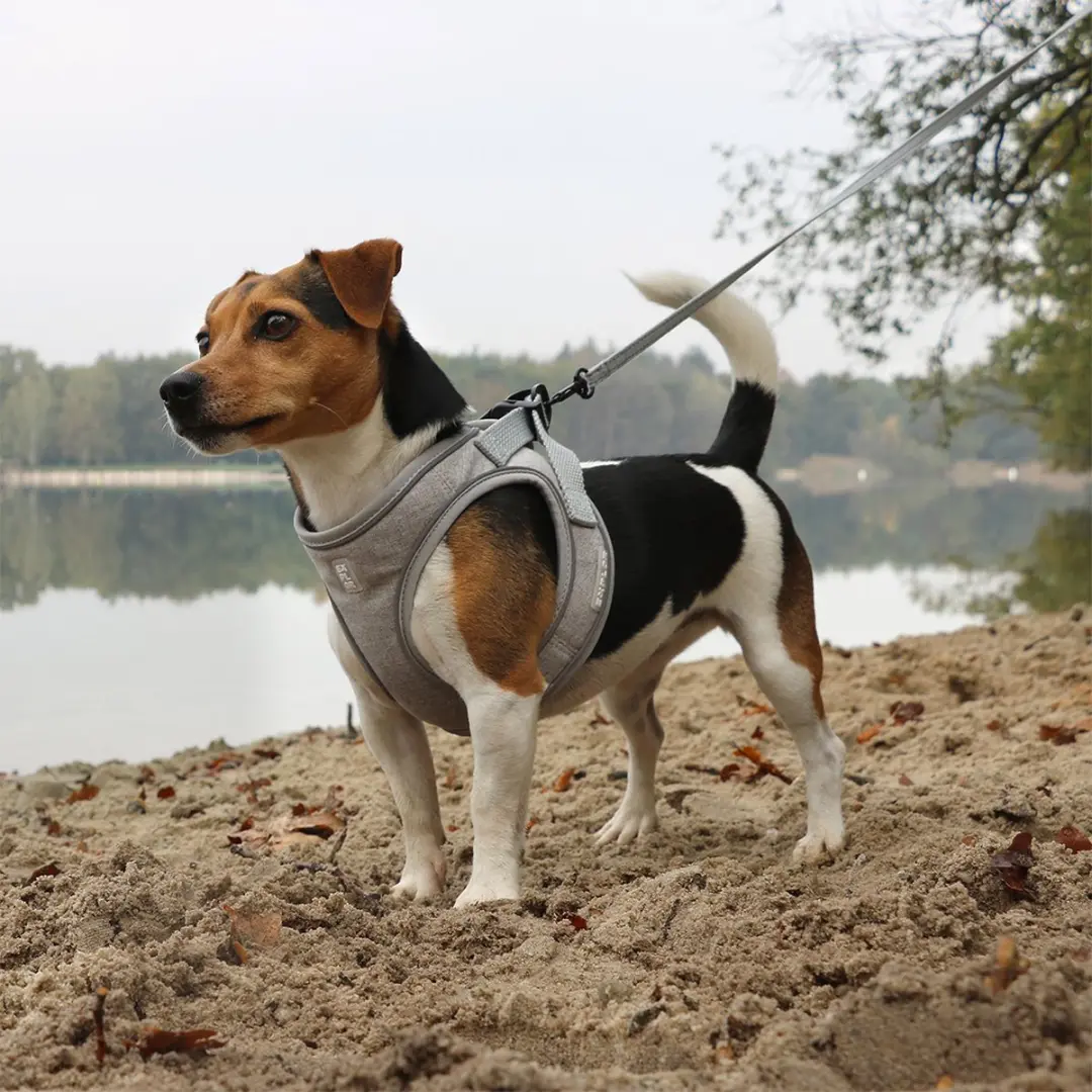 Duvo Duvoplus Harnas Ultimate Fit S - 40-45cm Grijs
