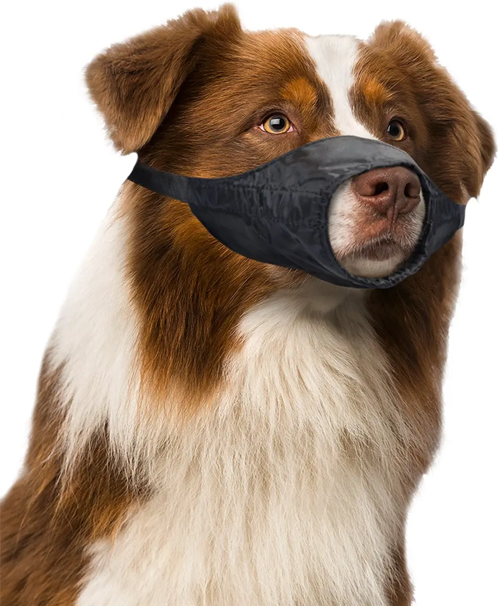 Duvo+ Muilband Nylon M
