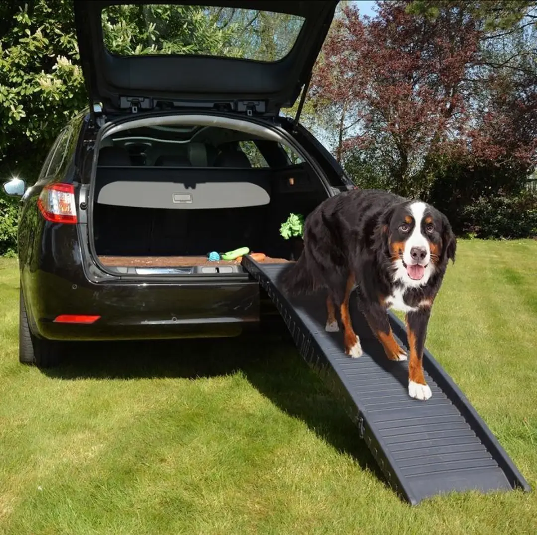 Duvo Loopplank Auto Easy Step - 43x40x26cm - Zwart