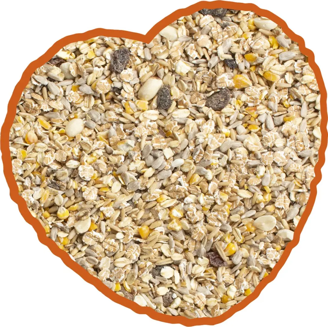 Duvo Terrace Mix Vogelveer 4kg