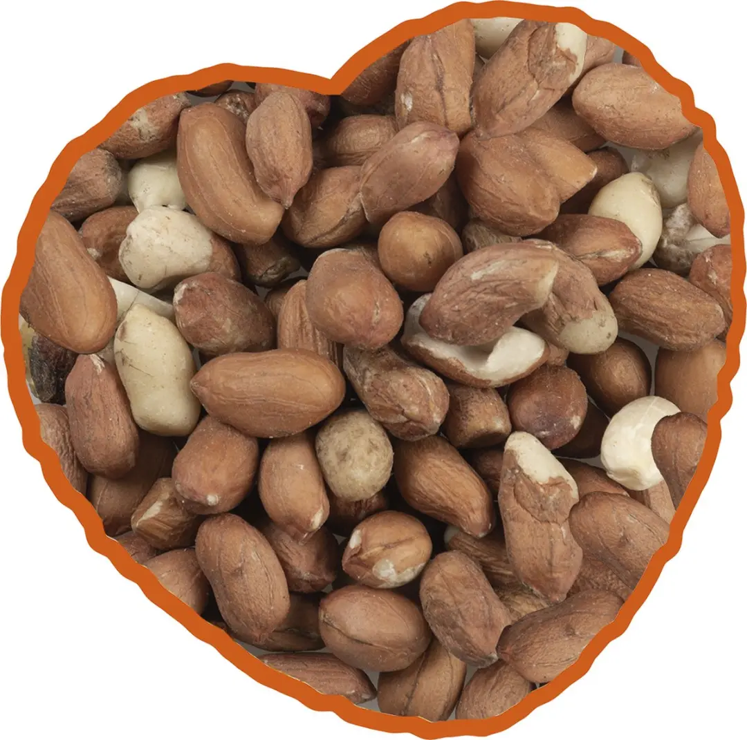 Duvo Buitenvogelvoer Arachidennoten Gepeld 5kg