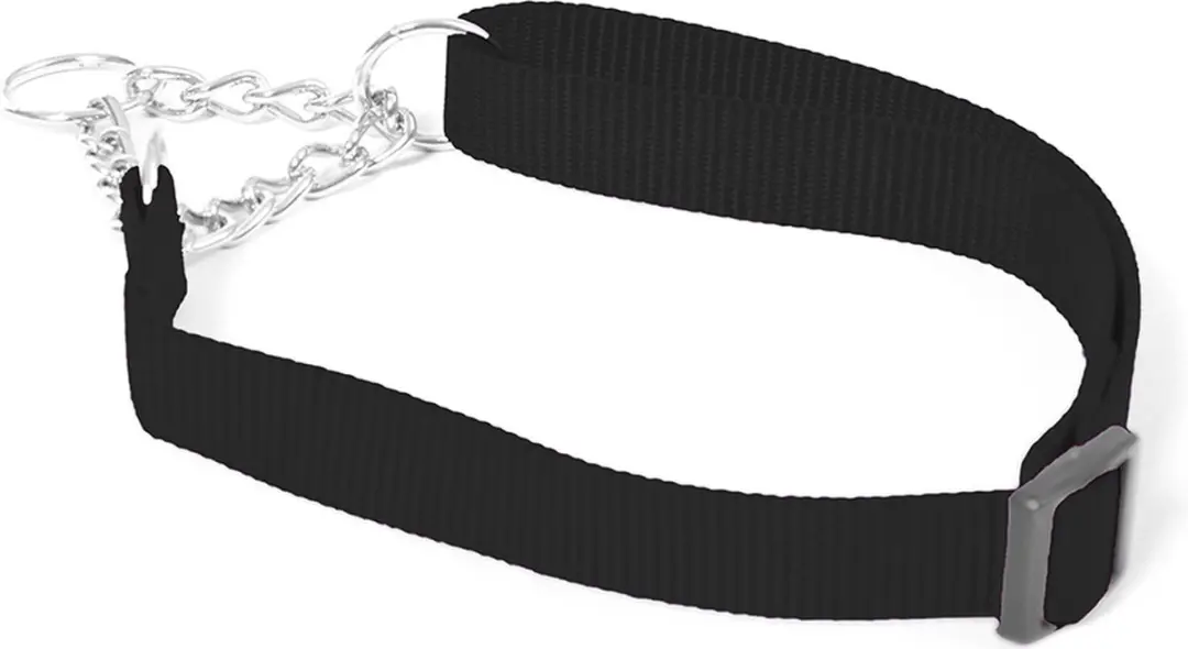 DuvoPlus Halsband Hond Nylon 30-40cm/15mm