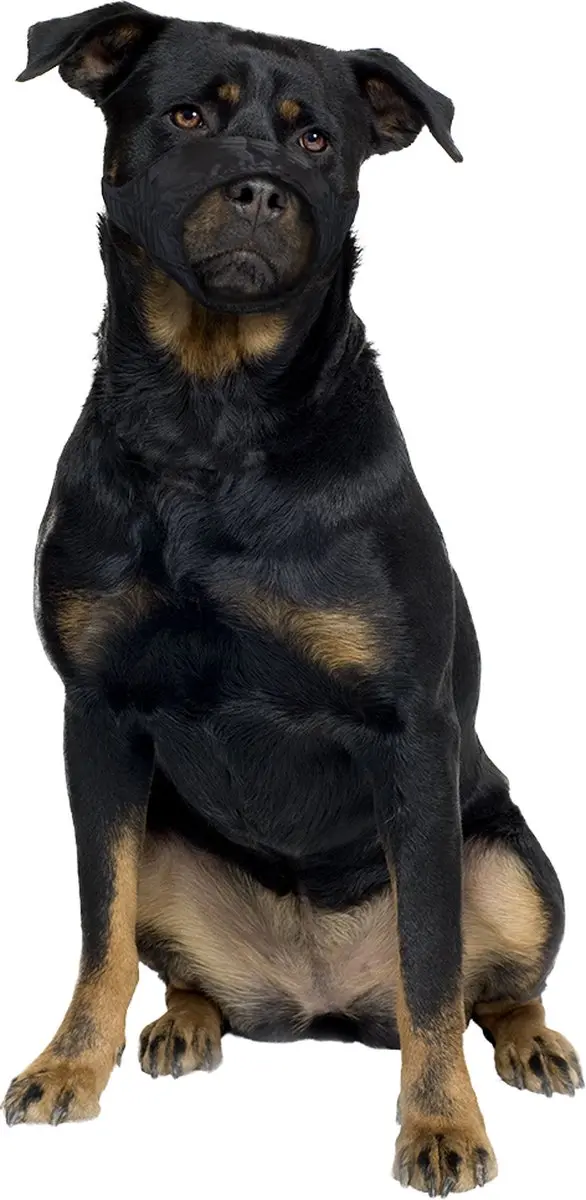 DuvoPlus Muilkorf Nylon 57-83cm
