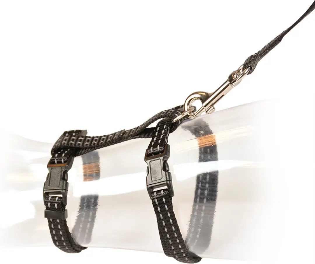 DuvoPlus Halsband Kat Wandelset Reflecterend 20-35cm
