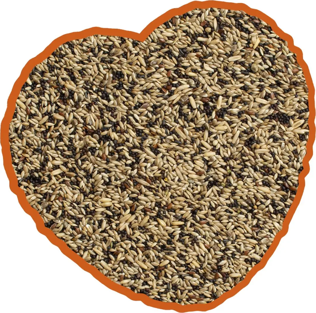DuvoPlus Kanarie Mix Vogelveer 20kg