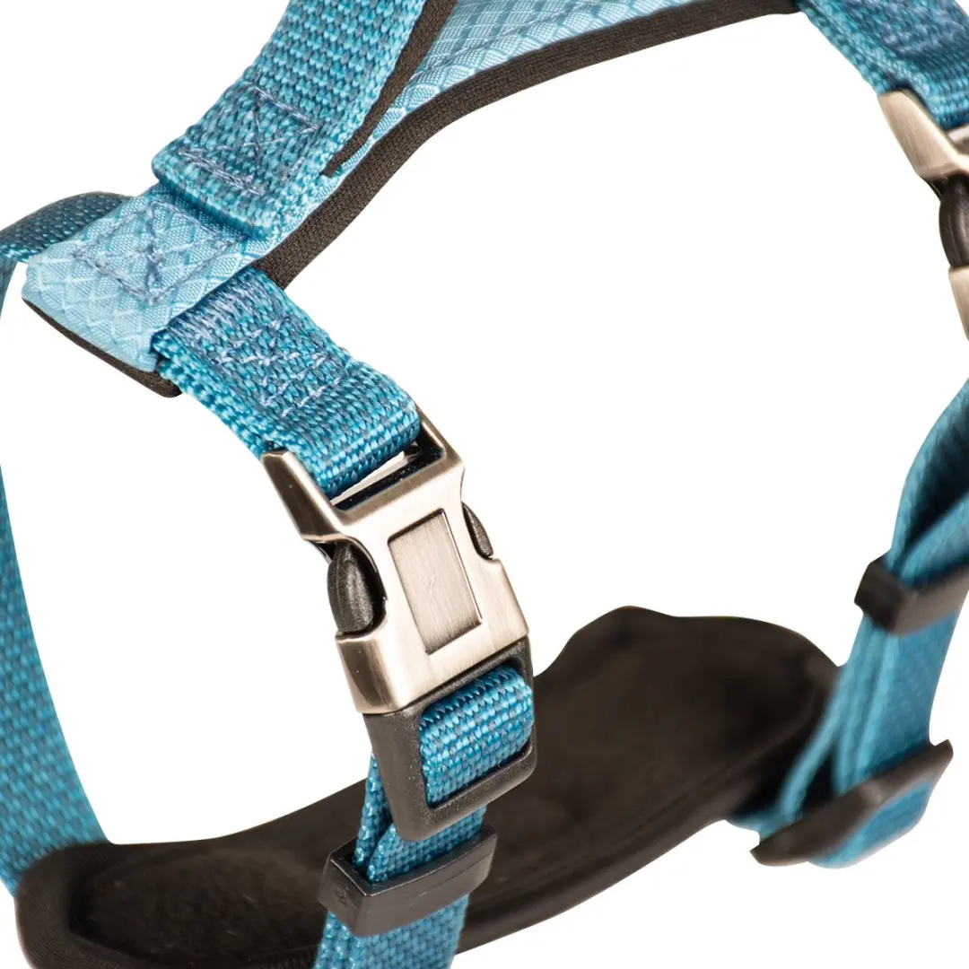 Duvo Explor North Harnas Nylon M 40-50cm/15mm - Petrol