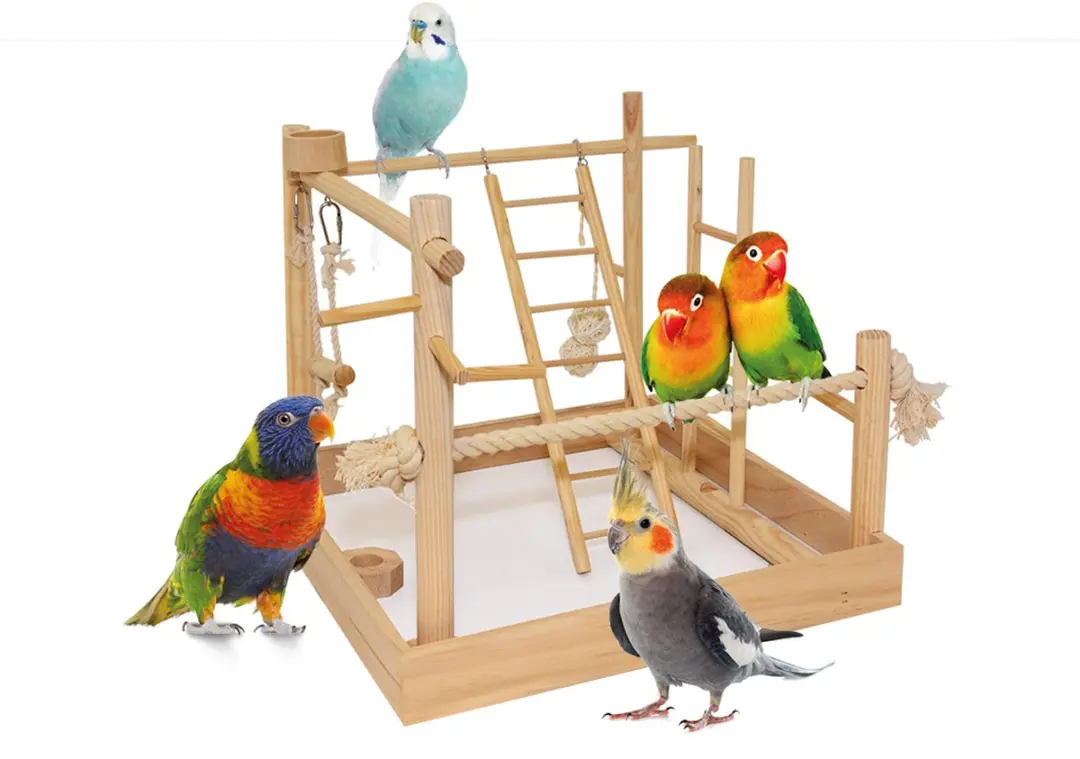 Duvo+ 3-in-1 Vogelspeeltuin Hout - 38x38x40,5cm