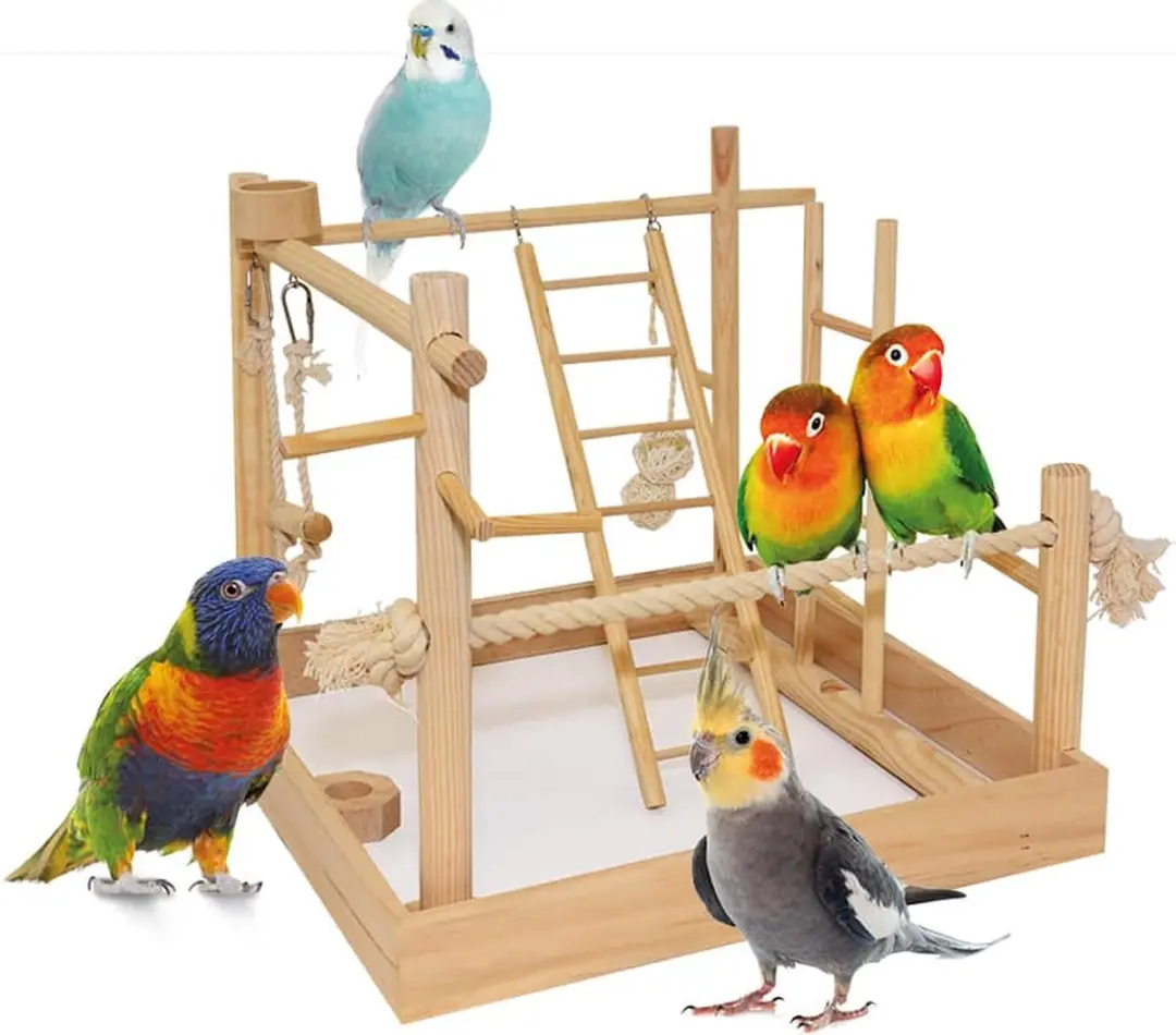 Duvo+ 3-in-1 Vogelspeeltuin Hout - 38x38x40,5cm