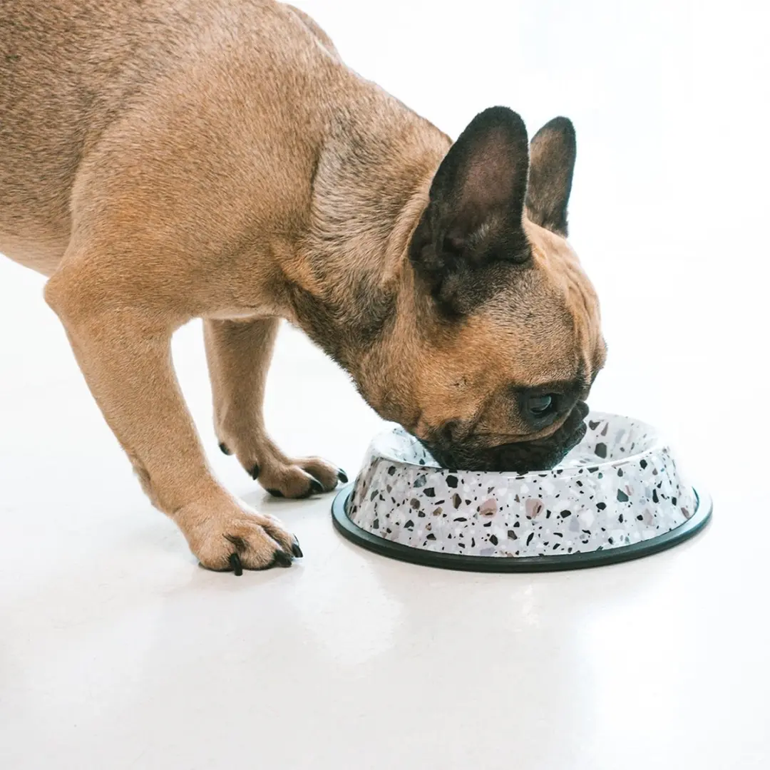 Duvo Duvoplus Drinkbak Hond Eetkom Terrazzo Look XS 150ml - 15,5x15,5x3cm Wit