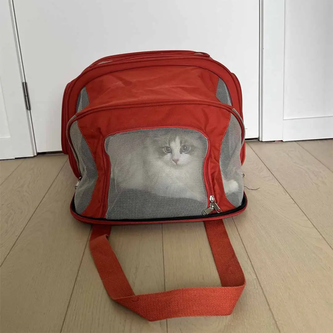 Duvo Trail Transporttas XS - 48x25x32cm - 8kg - Oranje