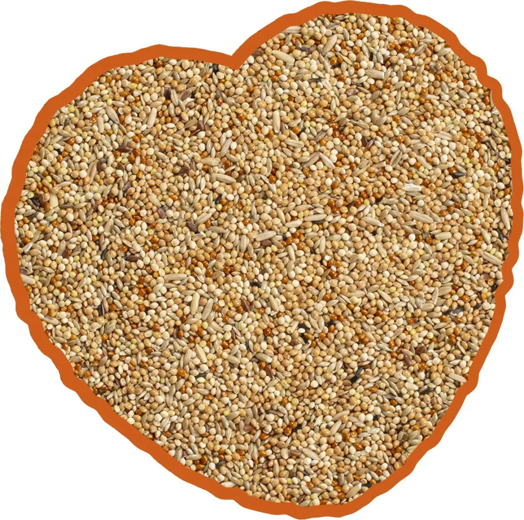 DuvoPlus Grasparkiet Mix 20kg