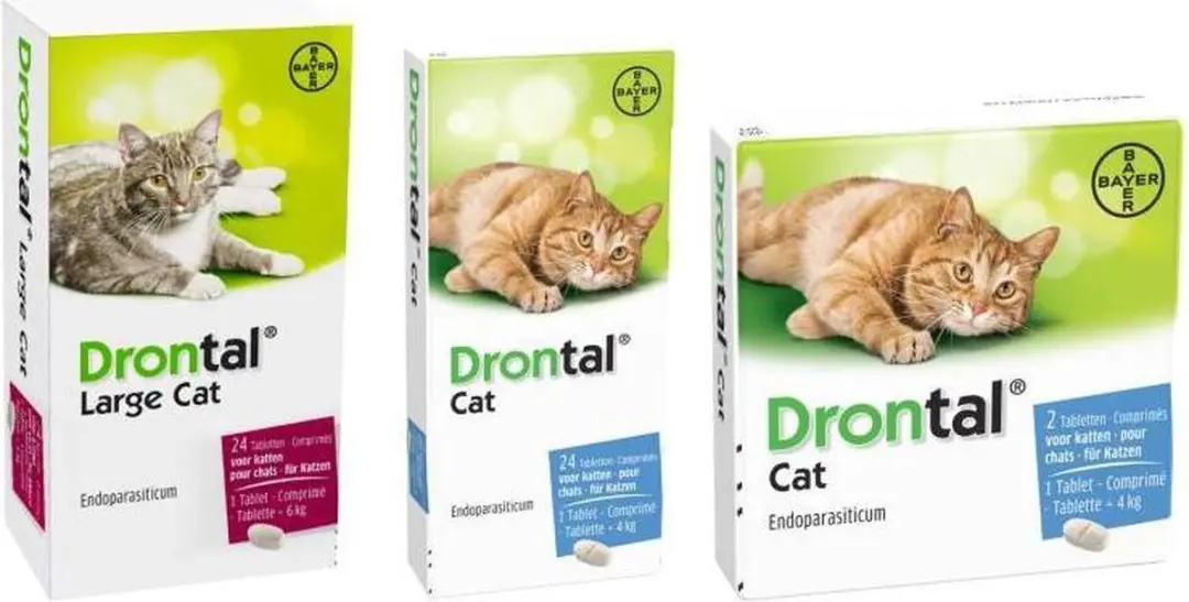 Drontal Large Cat Ontworming 24 Tabletten