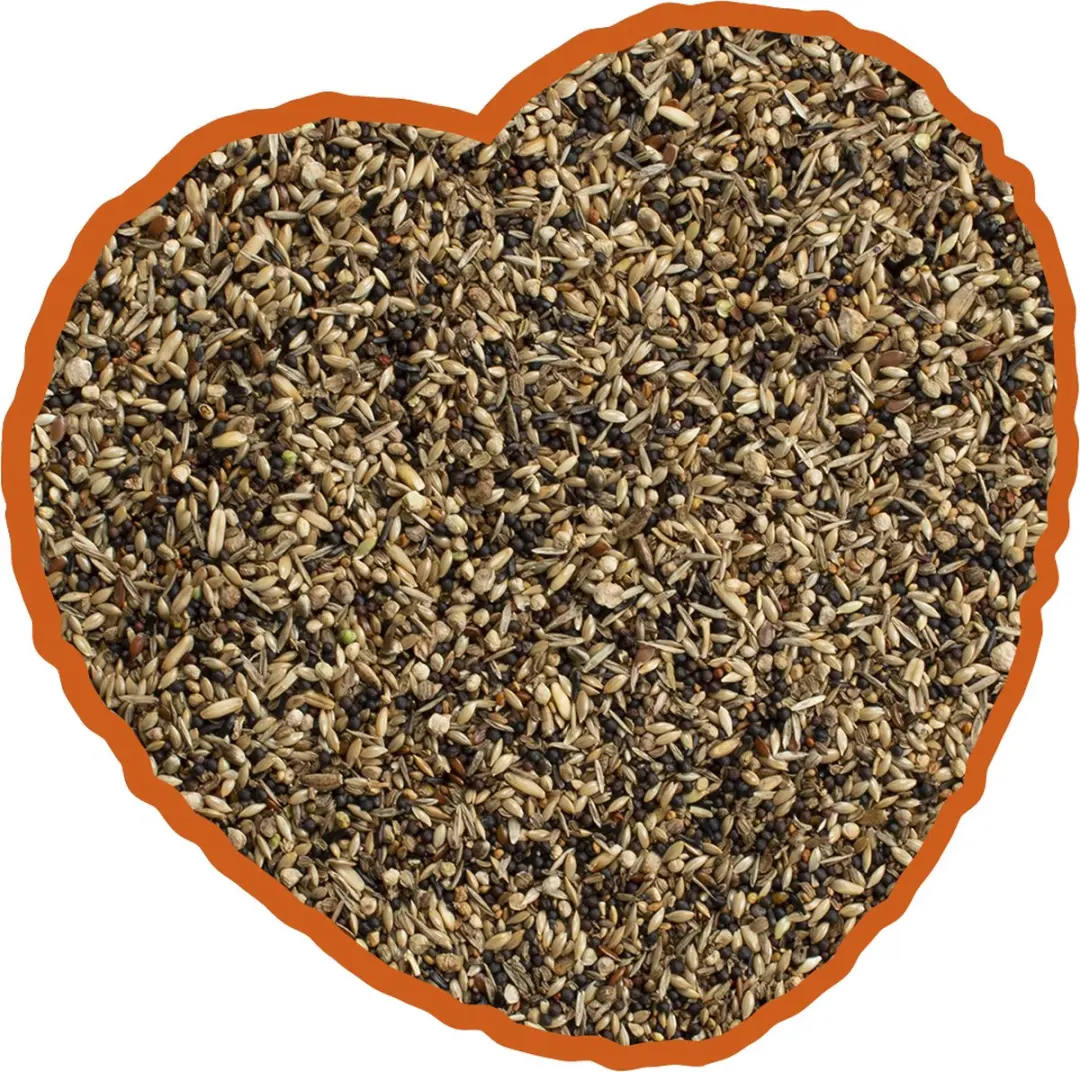 Duvo Wildzang Mix Vogelfeed 20kg
