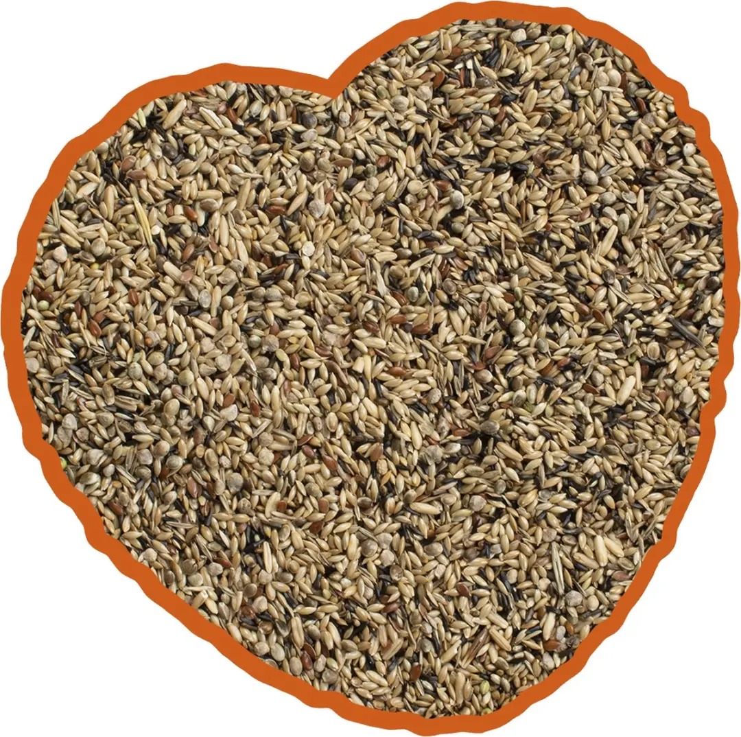 DuvoPlus Postuurkanarie Mix 20kg