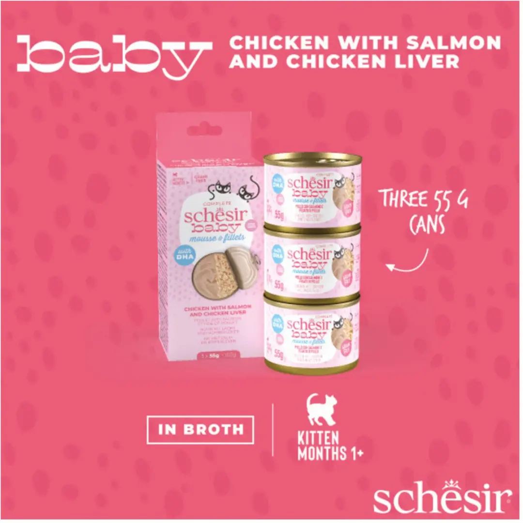 Schesir Baby Kattenvoer Kip & Zalm - 3x55g