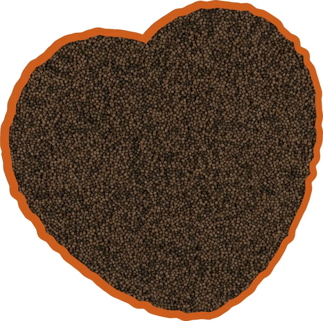 DuvoPlus Terrasvijver Koi Mix 3L - 3mm