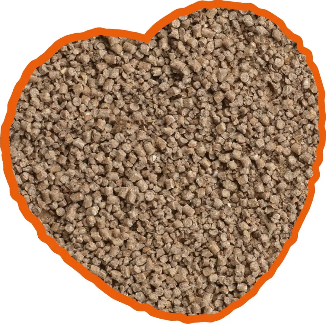 DuvoPlus Kuiken Kruimel Vogelveer 20kg