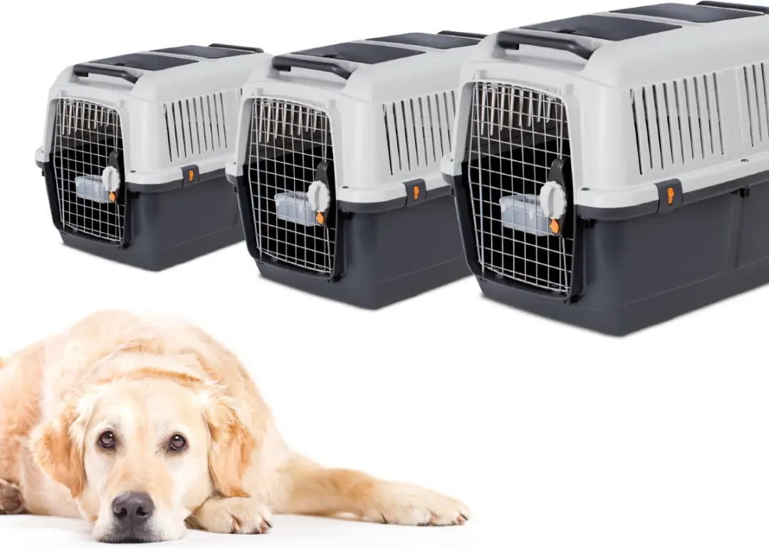 Duvo Bracco Travel Transportbox Honden XL - 92x64x67,5cm - Grijs/Zwart